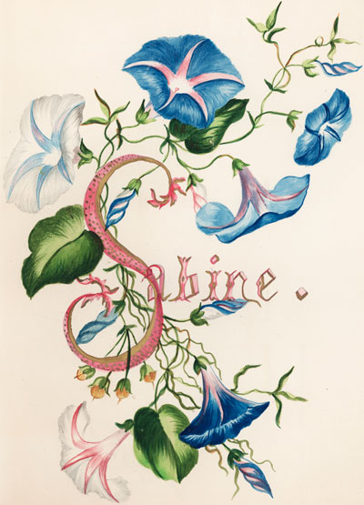 Sabine - Morning Glories
